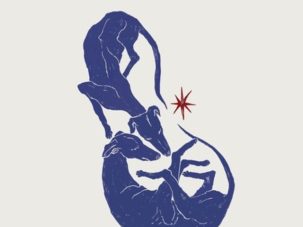 5 poemas de Caer al cielo, de Patricia Conor