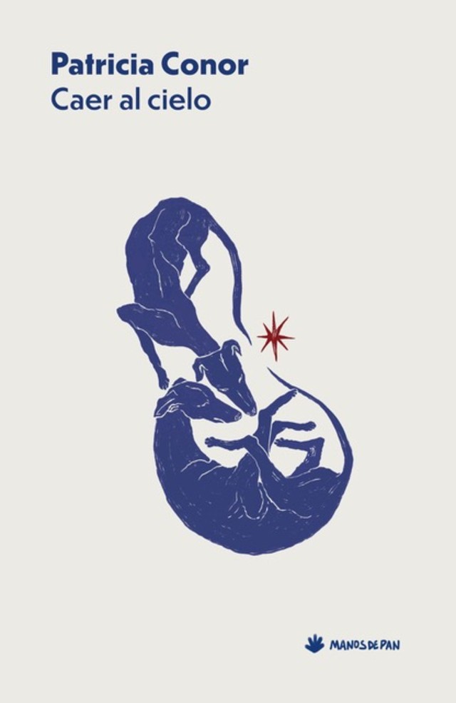 5 poemas de Caer al cielo, de Patricia Conor
