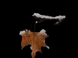 5 poemas de Vivir en tu invierno, de Martín Lorenzo Paredes Aparicio