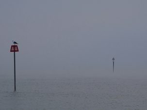 La semana en Zenda, en 10 tuits