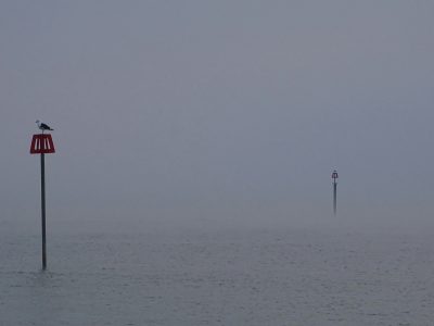 La semana en Zenda, en 10 tuits