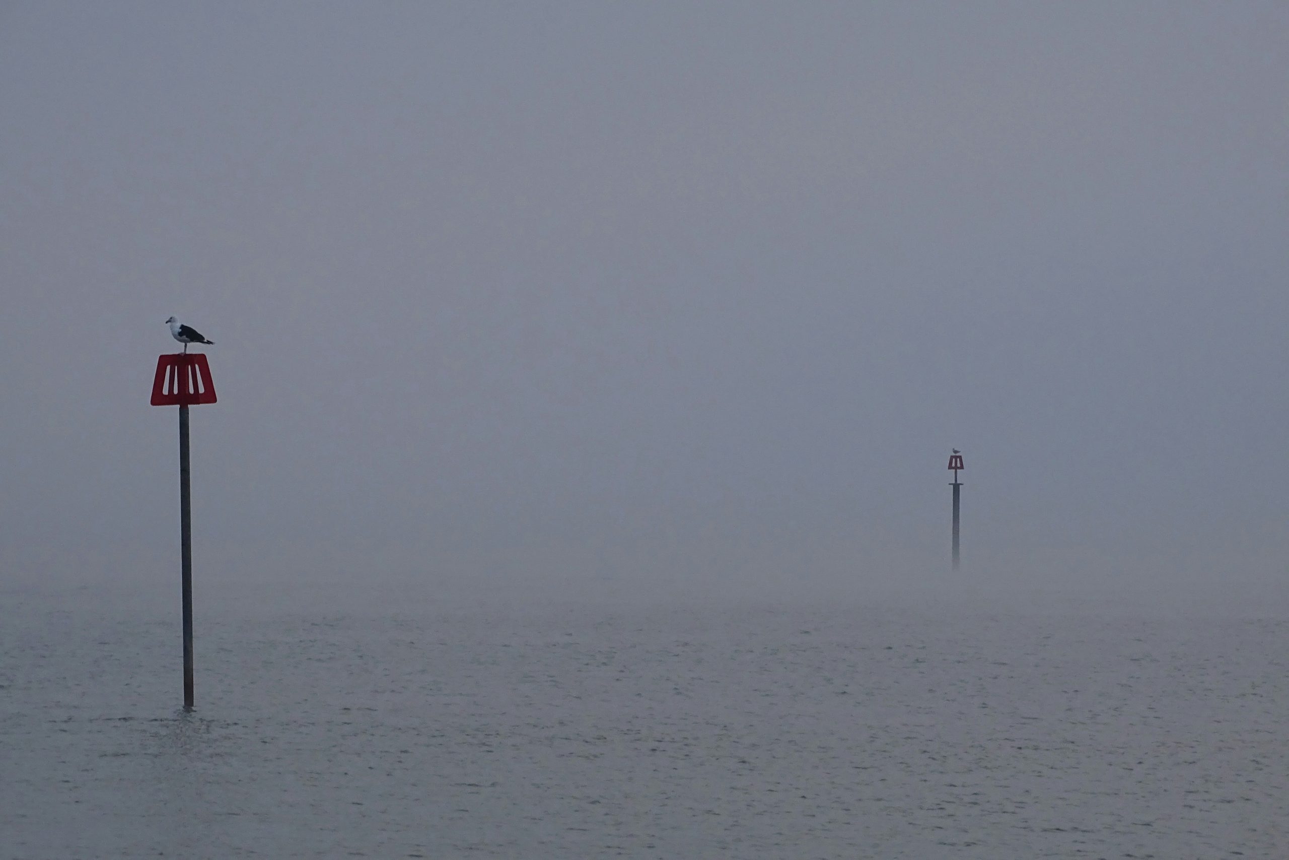 La semana en Zenda, en 10 tuits