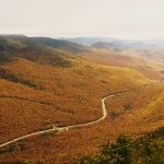 Doce libros de noviembre