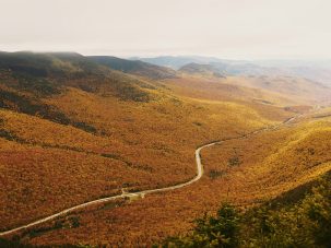 Doce libros de noviembre