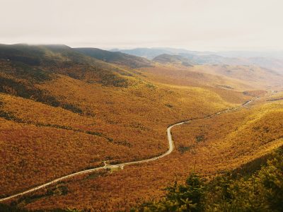 Doce libros de noviembre