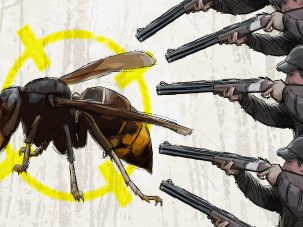 Los jabalíes, el pulpo y las velutinas