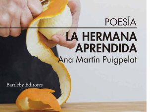 5 poemas de Ana Martín Puigpelat