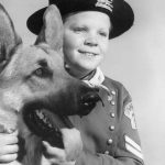 Perros de ficción: De Rin-tin-tín a Caramelo