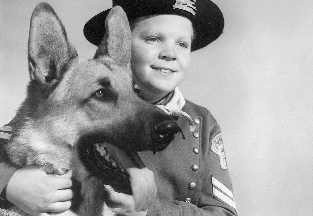 Perros de ficción: De Rin-tin-tín a Caramelo
