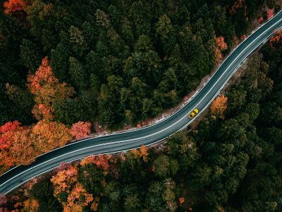 La semana en Zenda, en 10 tuits