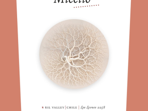 La tenacidad de la ternura