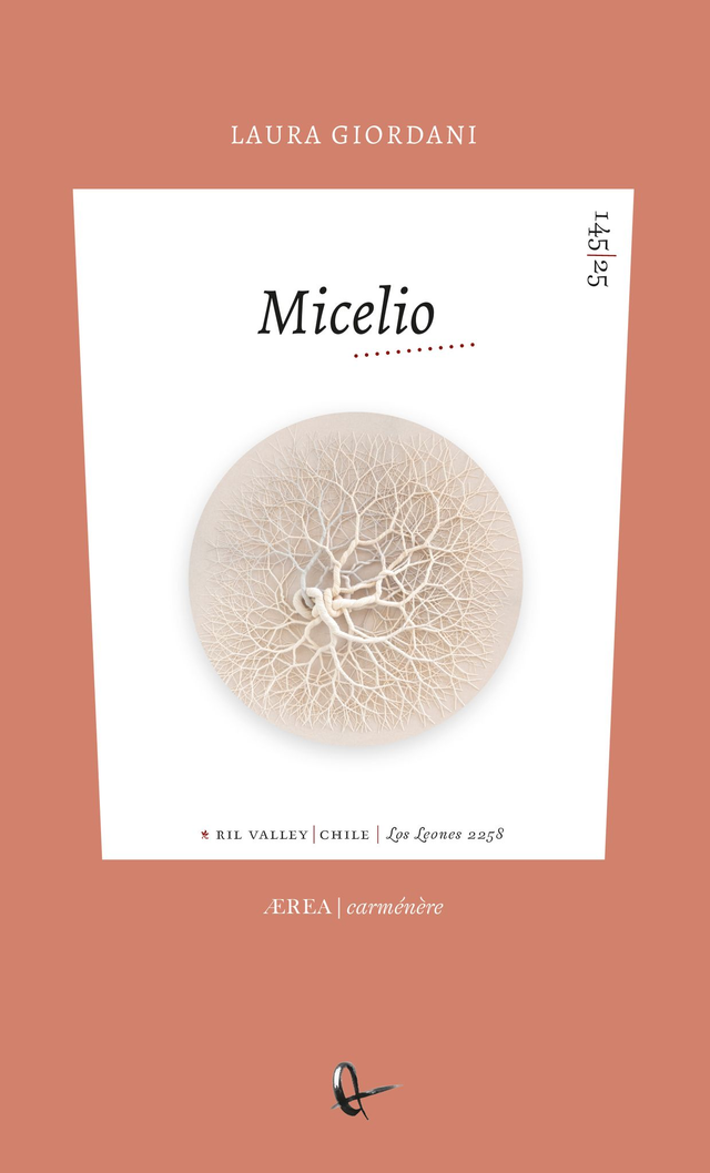 La tenacidad de la ternura