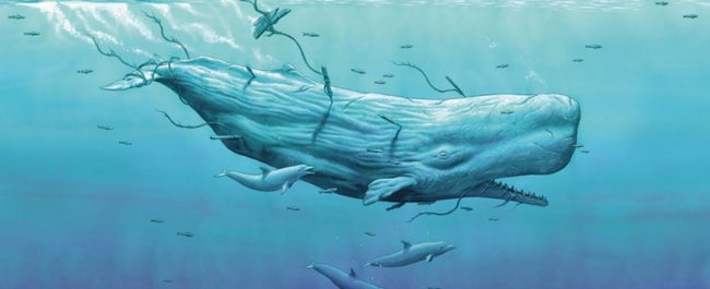 Moby Dick: aburrir con estilo marinero