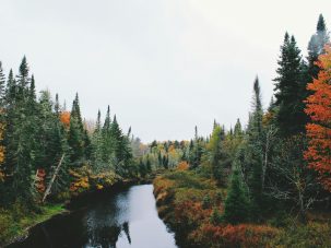 La semana en Zenda, en 10 tuits
