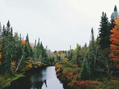 La semana en Zenda, en 10 tuits