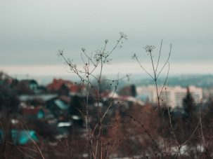 La semana en Zenda, en 10 tuits