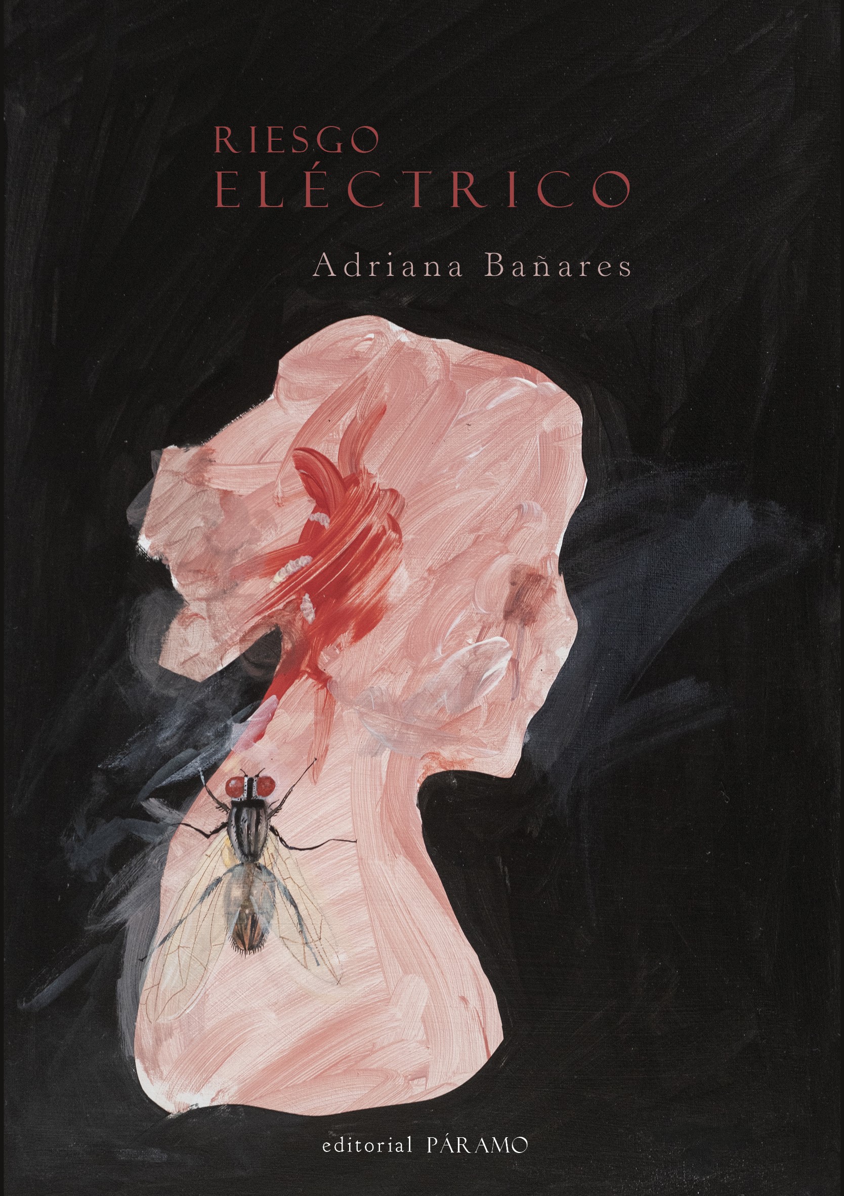 5 poemas de Riesgo eléctrico, de Adriana Bañares