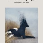 Zenda recomienda: Teoría del juego, de Arià Paco