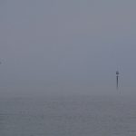 La semana en Zenda, en 10 tuits