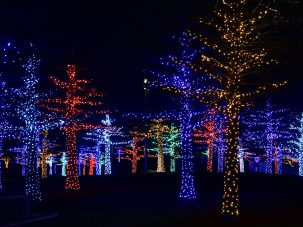 La semana en Zenda, en 10 tuits