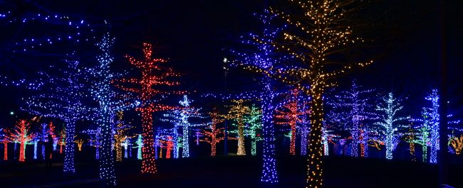 La semana en Zenda, en 10 tuits