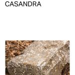 Zenda recomienda: Casandra, de Christa Wolf