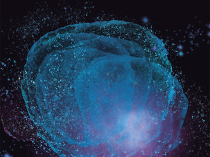 ¿Fundido a negro o fundamento oscuro?