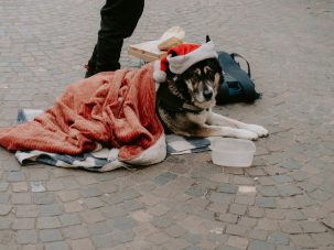 Navidades de hambre: el vía crucis de Anselmo el Publicano