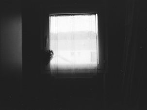 La semana en Zenda, en 10 tuits