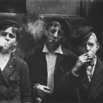 Inteligencia natural