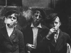 Inteligencia natural