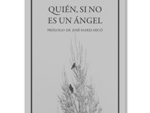 Precisión en la fugacidad