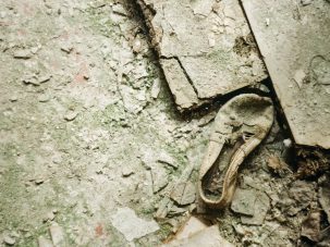 Un zapato en Palestina, un poema de Clara Chacón