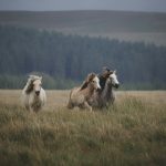 Expect no more, this is happiness