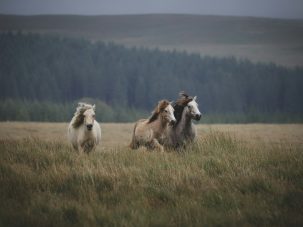 Expect no more, this is happiness