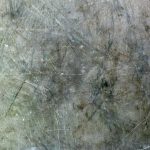 La raya, de Federico Bravo