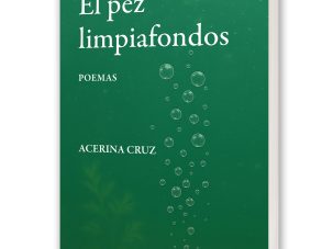 Un permanente desencuentro con lo real