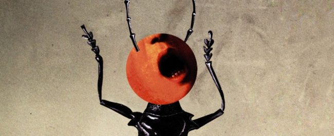 20 clásicos para empezar con los clásicos o ponerse al día (Parte I)