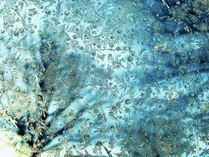 La semana en Zenda, en 10 tuits