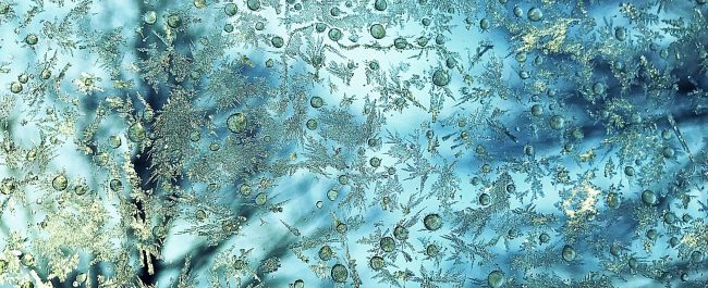 La semana en Zenda, en 10 tuits