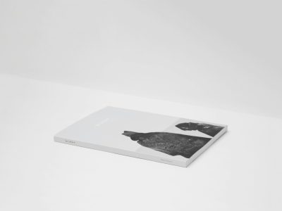 Doce libros de enero