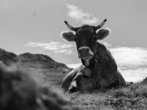 Madre, de Mònica Roig Tió