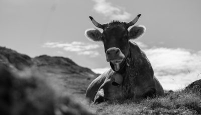 Madre, de Mònica Roig Tió