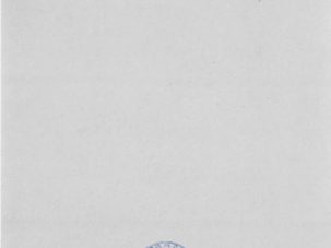 Zenda recomienda: Cuerpo blanco, de L.T.