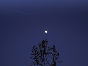 Sexo (y duelo) en Nueva York