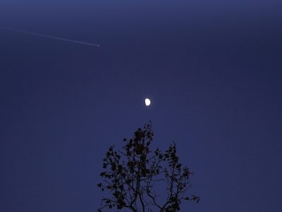 Sexo (y duelo) en Nueva York