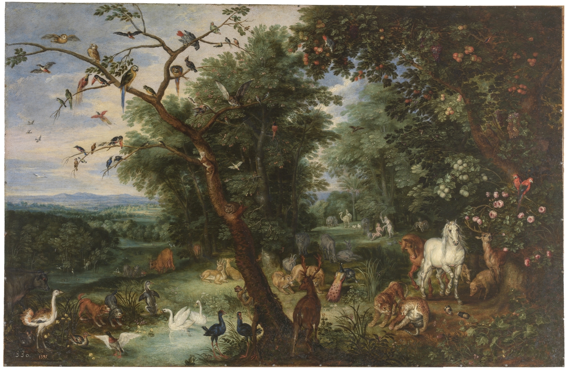 Paraíso, de Germán Sánchez Espeso