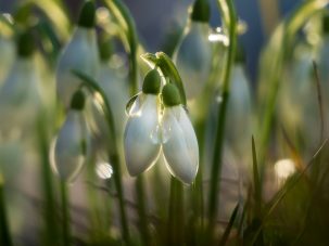 La semana en Zenda, en 10 tuits