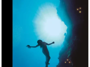 Zenda recomienda: Vista del abismo, de Tomás González