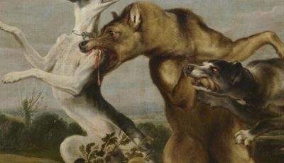 Un perro parlante en la España del siglo XVI